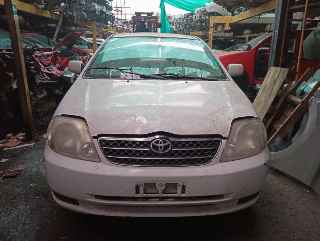 TAPA MALETA Toyota COROLLA 2002,  EN DESARME